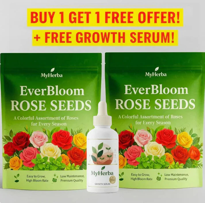 Rose Seeds (Buy 1 Get 2 Free)