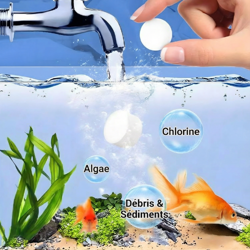 Aquarium Water Purification Tablet