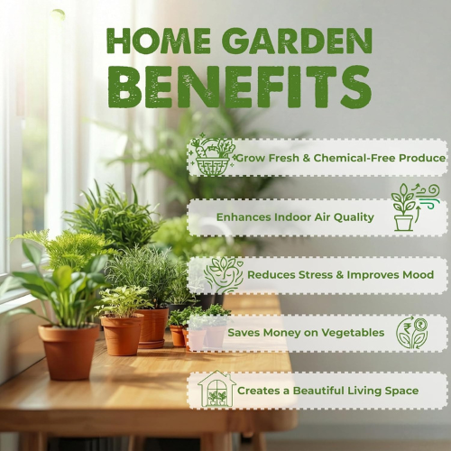 35 Variety Vegetable Seed Kit