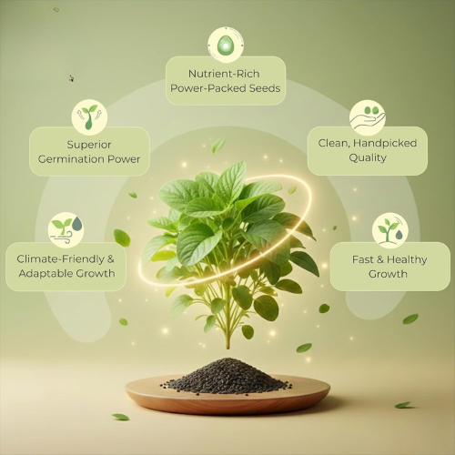 35 Variety Vegetable Seed Kit