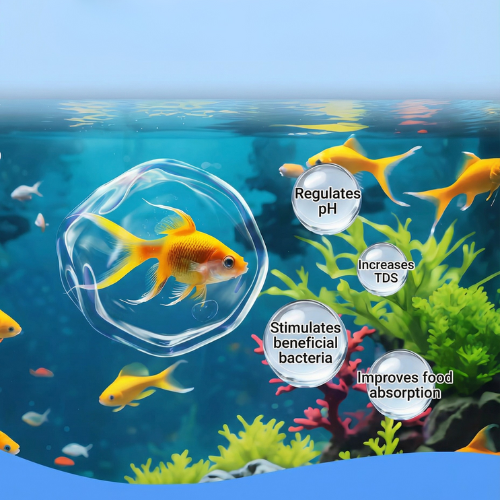 Aquarium Water Purification Tablet