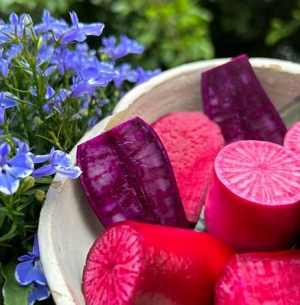 Pineapple Fruit Radish Seeds