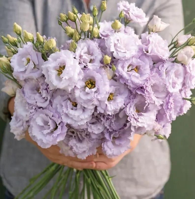 Lisianthus Mix Seeds