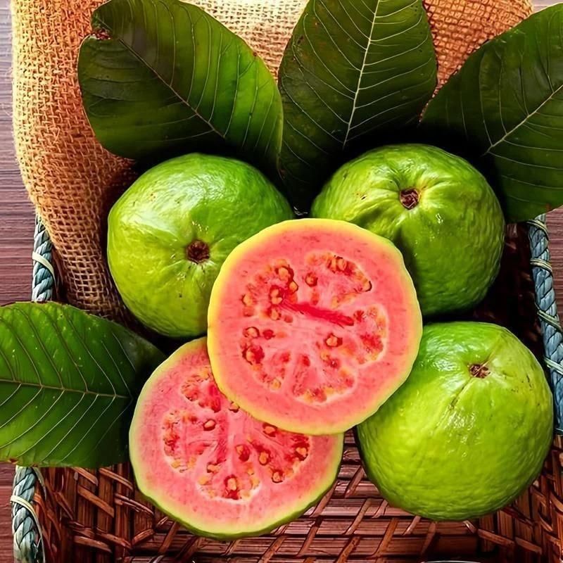 Organic Pink Guava Seeds