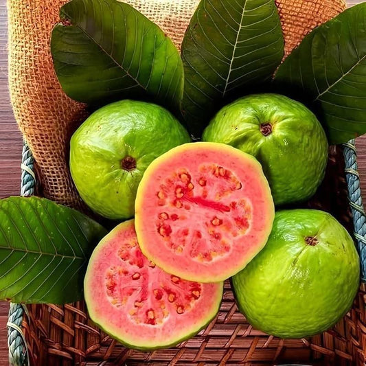 Organic Pink Guava Seeds
