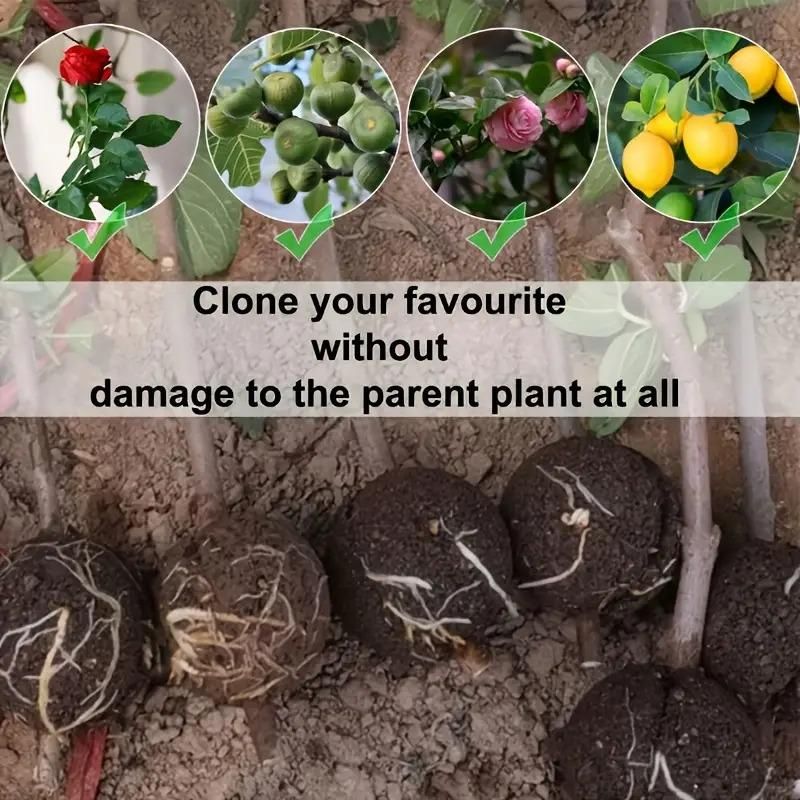 Reusable Plant Propagation Balls (Pack of 5)