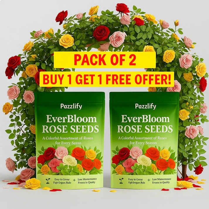 Rose Seeds (Buy 1 Get 2 Free)