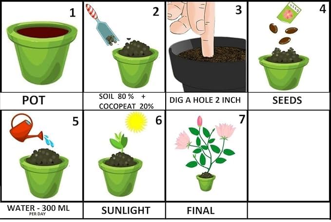 Super-Long Green Bean Seeds (Buy 1 Get 1 Free)