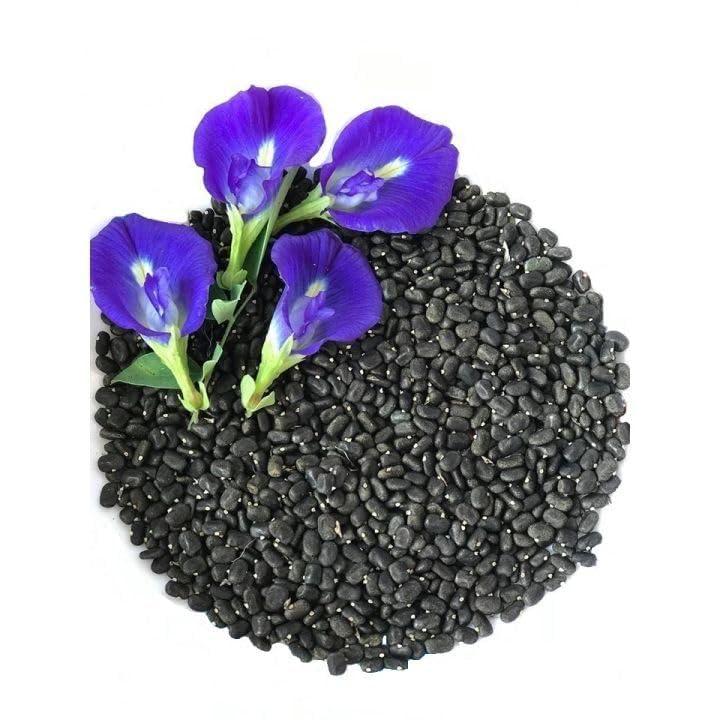 Beautiful Butterfly Pea Seeds