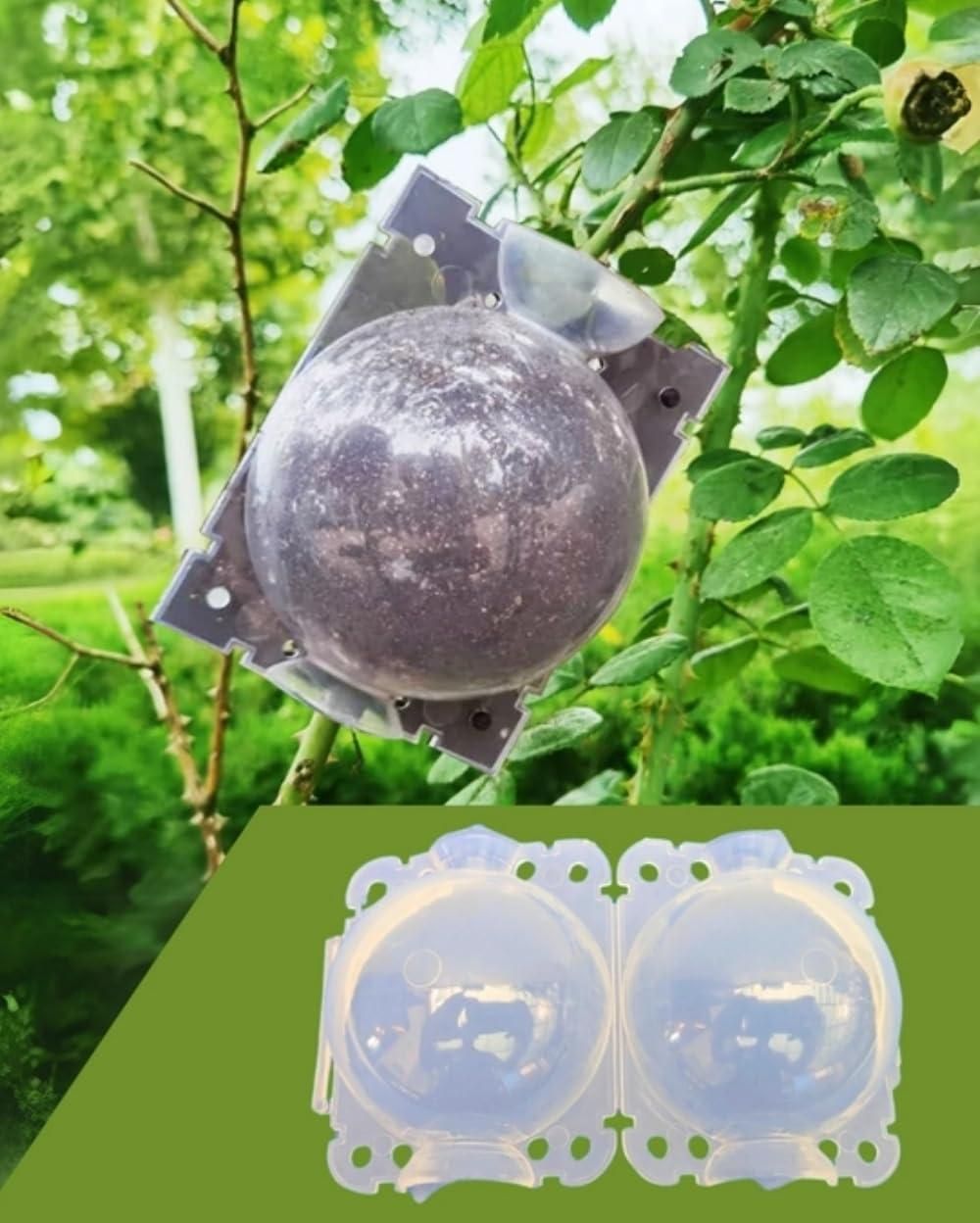 Reusable Plant Propagation Balls (Pack of 5)