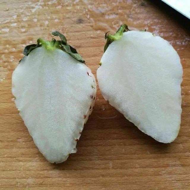 Rare White Strawberry Seeds