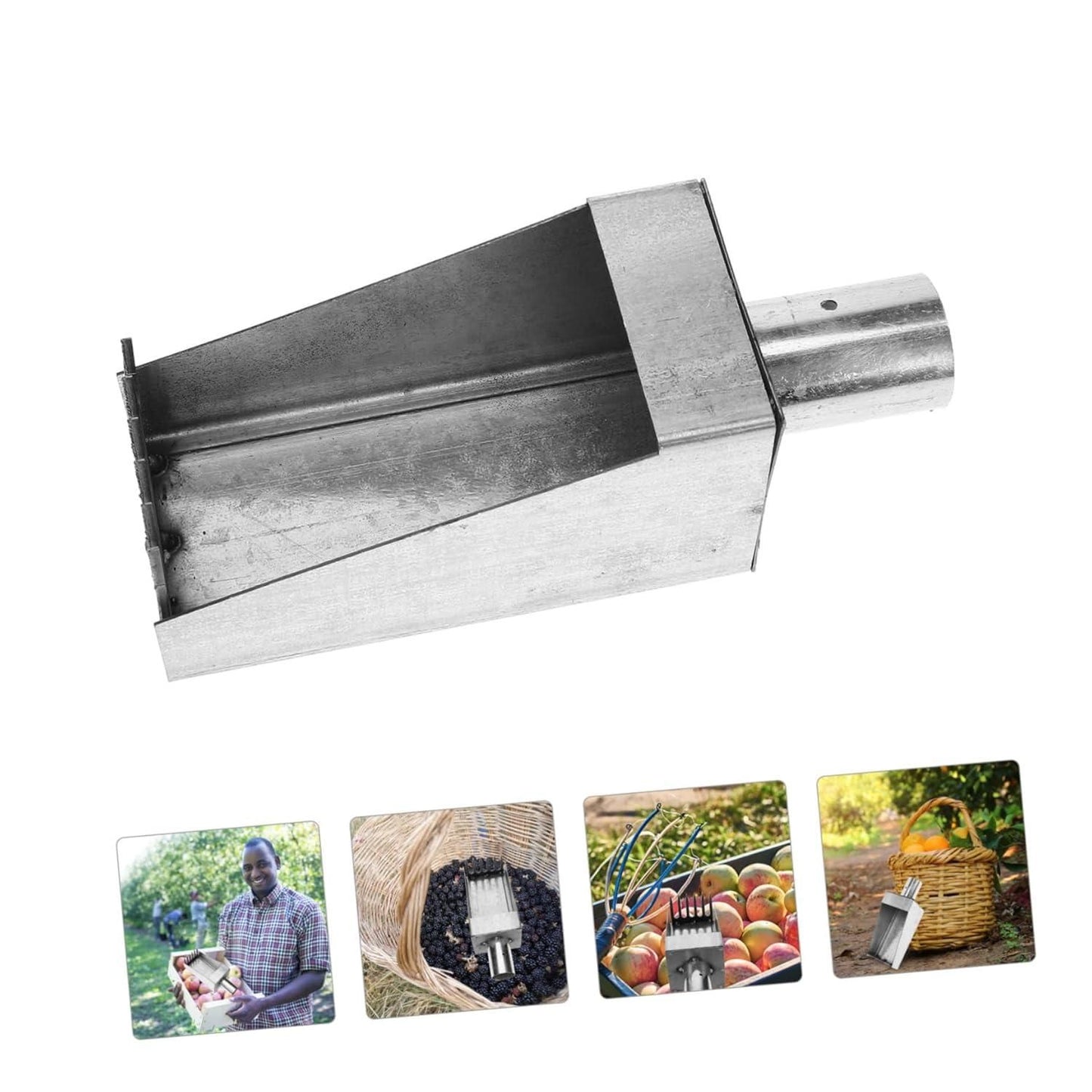 Stainless Steel Steel Fruit Picker Tool