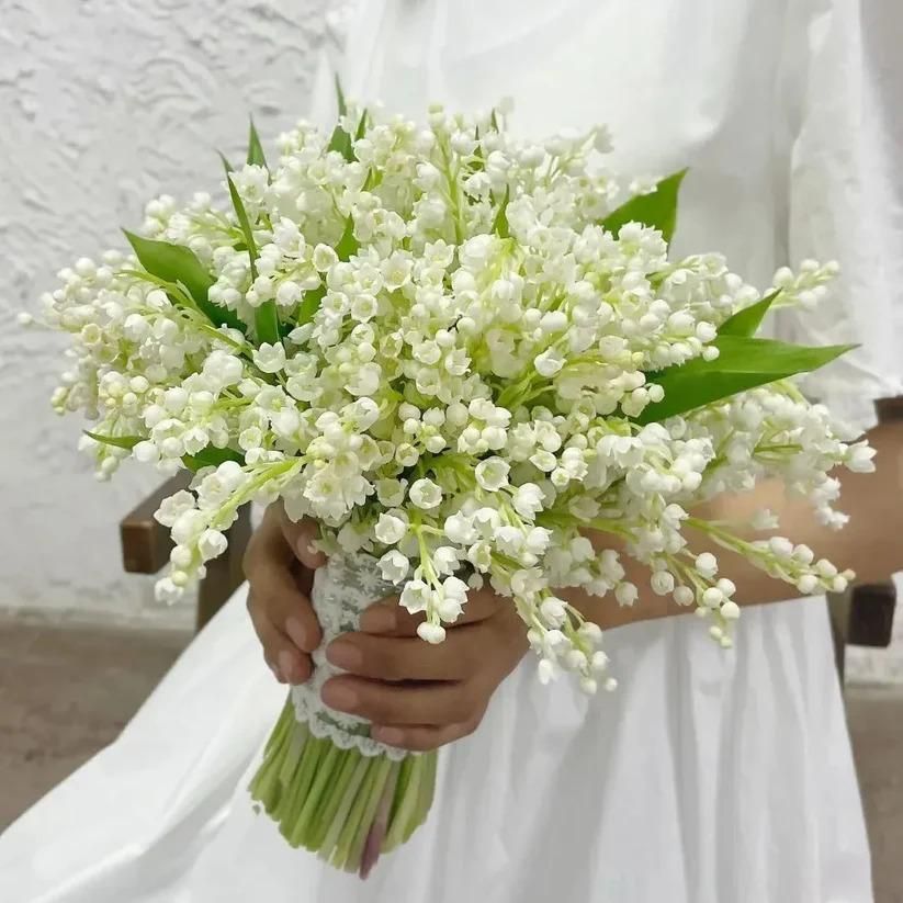 Lily Of The Valley Seeds(Buy 1 Get 1 Free)
