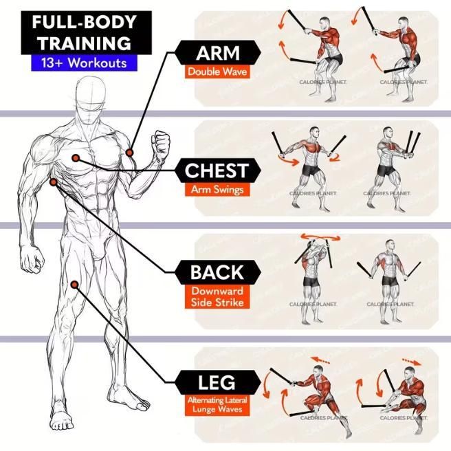 Cordless Battle Ropes