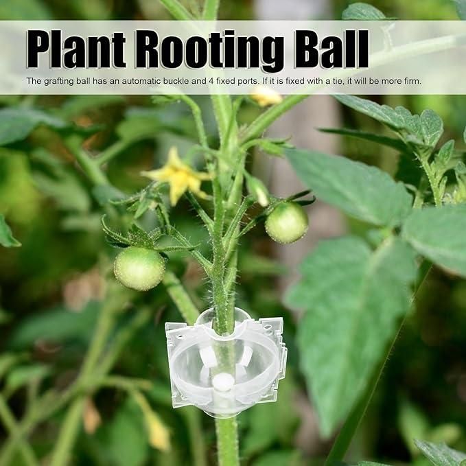Reusable Plant Propagation Balls (Pack of 5)