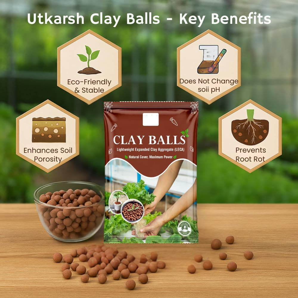 LECA Clay Balls🌱