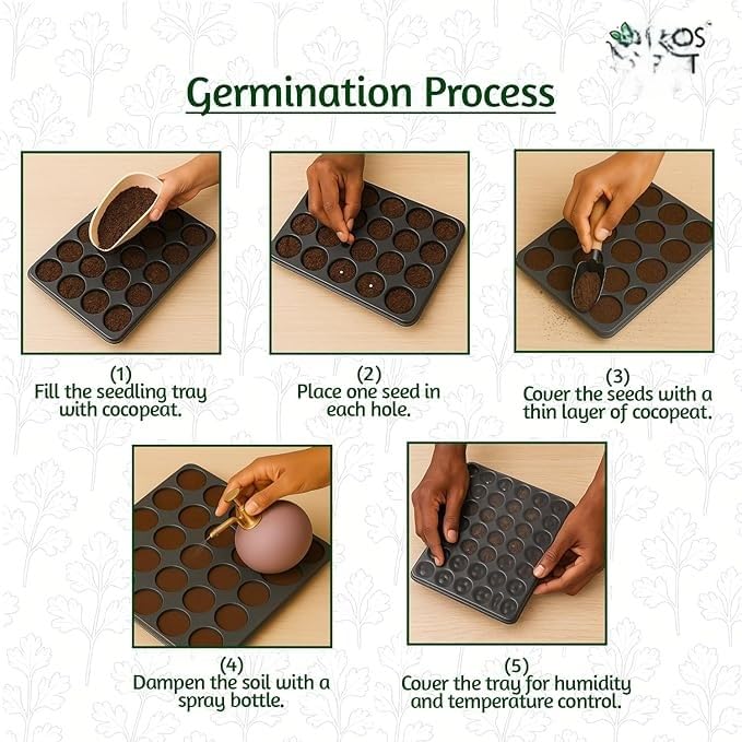 35 Variety Vegetable Seed Kit