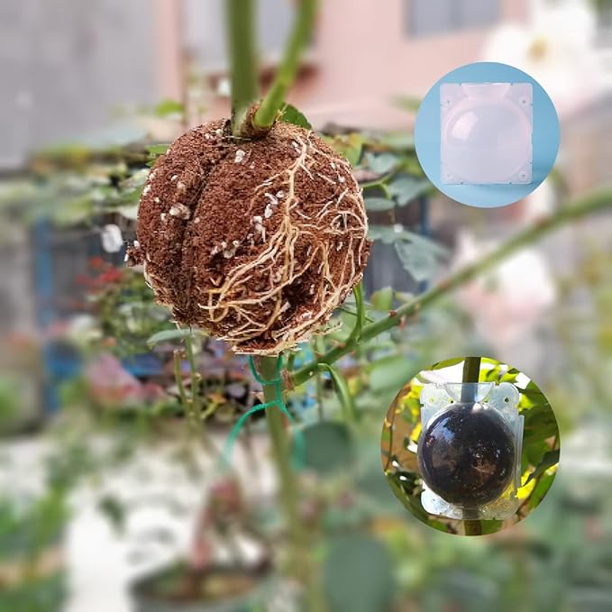 Reusable Plant Propagation Balls (Pack of 5)