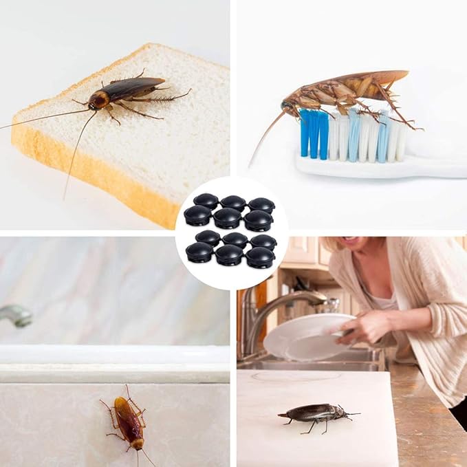 Small Cockroach Trap Repeller ( Pack Of 12)