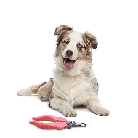 Pet Nail Clipper & Filer