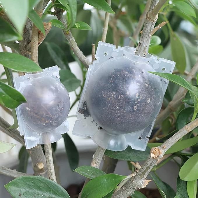 Reusable Plant Propagation Balls (Pack of 5)
