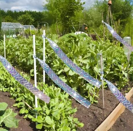 Double-Sided Reflective Bird Scare Tape