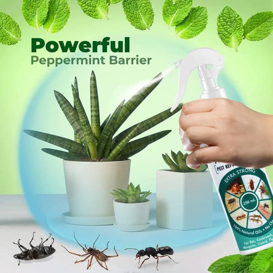 All In One Pest Repellent Spray