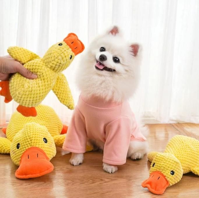 Quacking Duck Toy