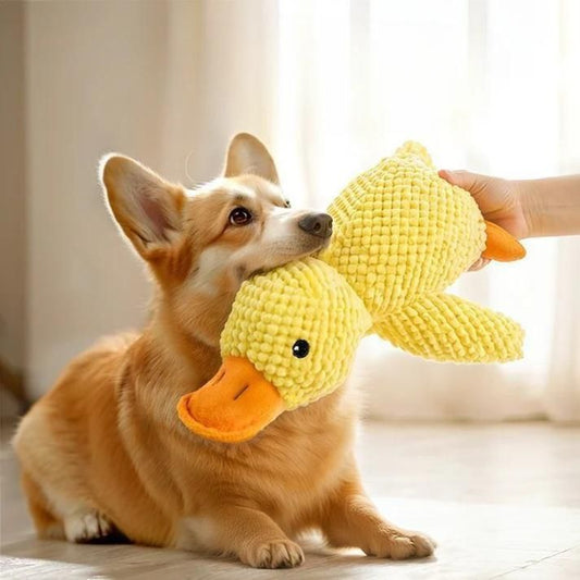 Quacking Duck Toy