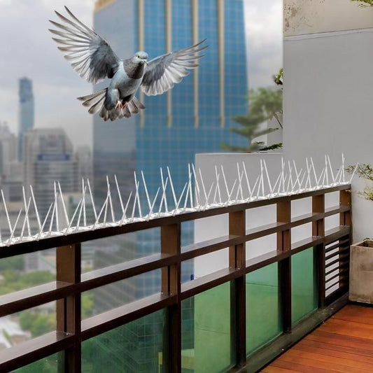 Bird Control Spikes (Set of 10)