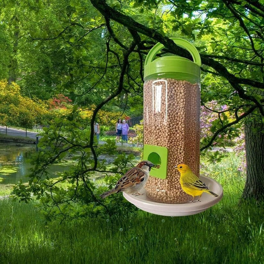 Bird Feeder