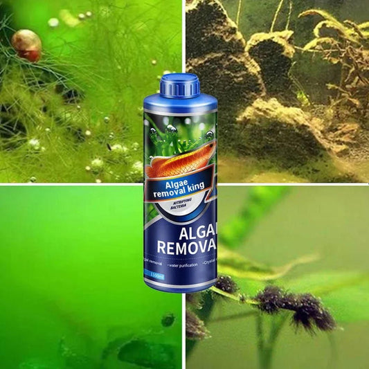 Aquarium Algae & Moss Remover