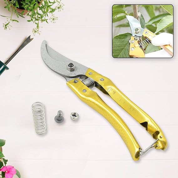 Garden Shears