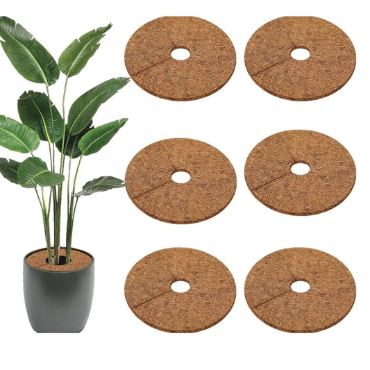 Coconut Fiber Plant Mat (Set of 6)