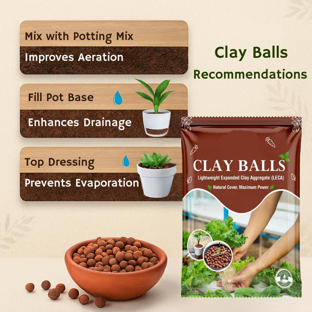 LECA Clay Balls🌱