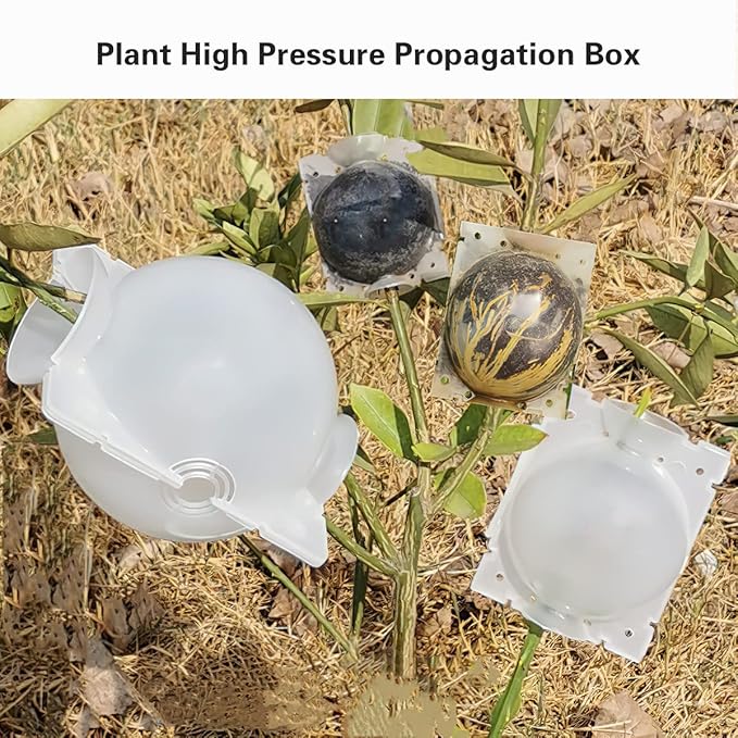 Reusable Plant Propagation Balls (Pack of 5)