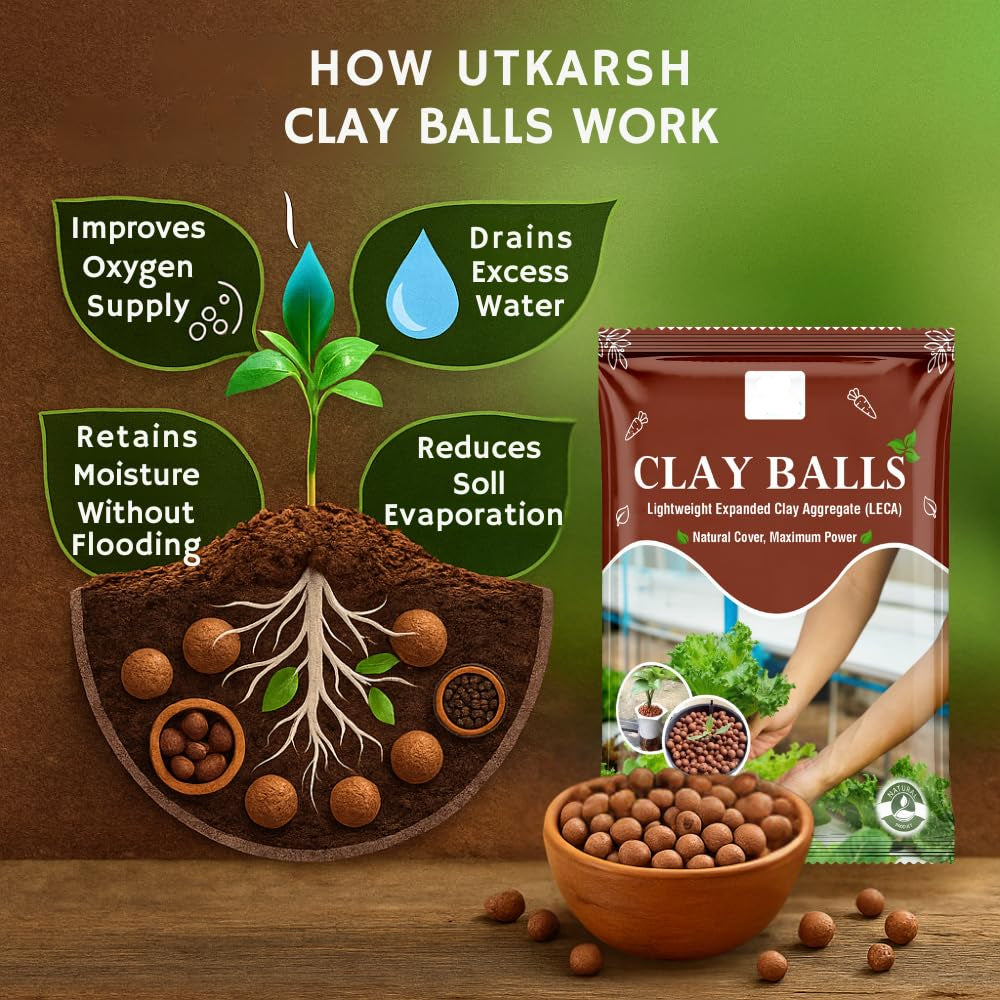 LECA Clay Balls🌱