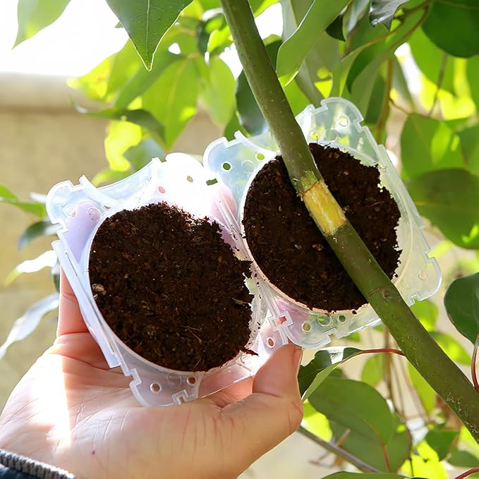 Reusable Plant Propagation Balls (Pack of 5)