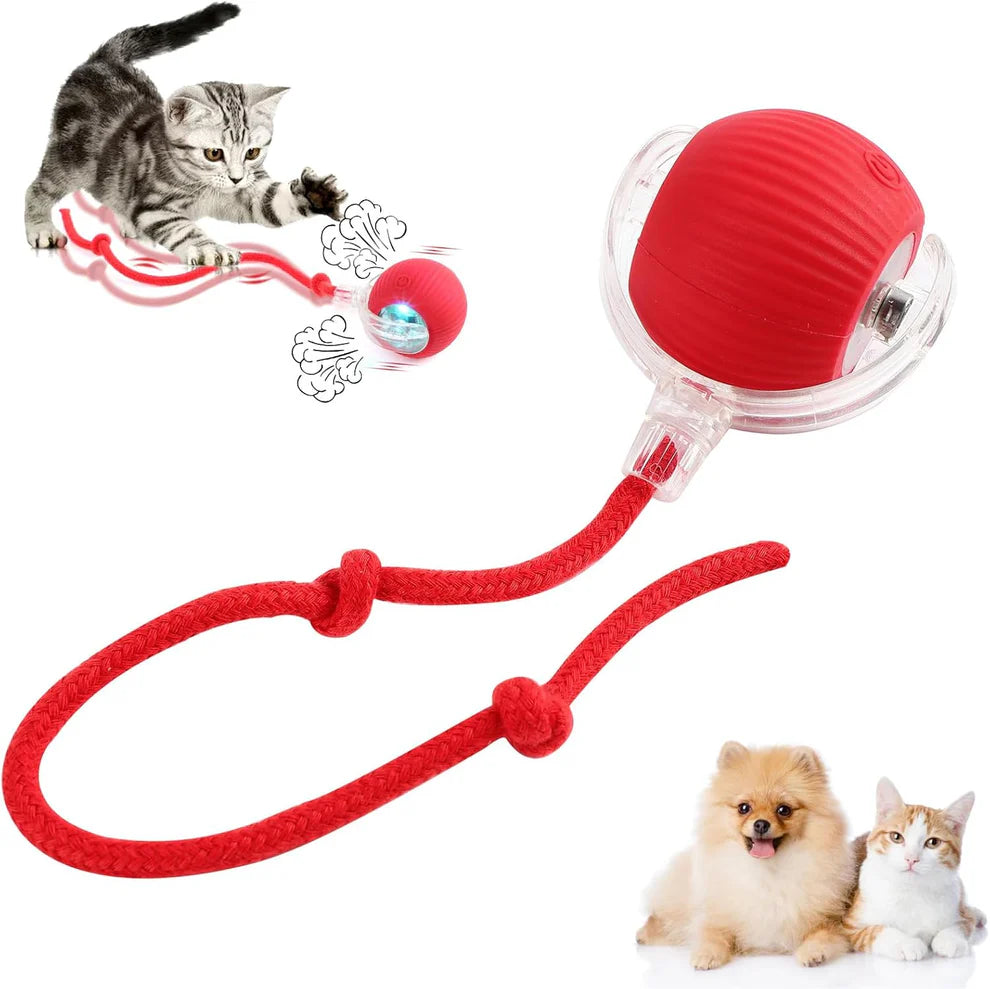 Smart Rolling Pet Ball