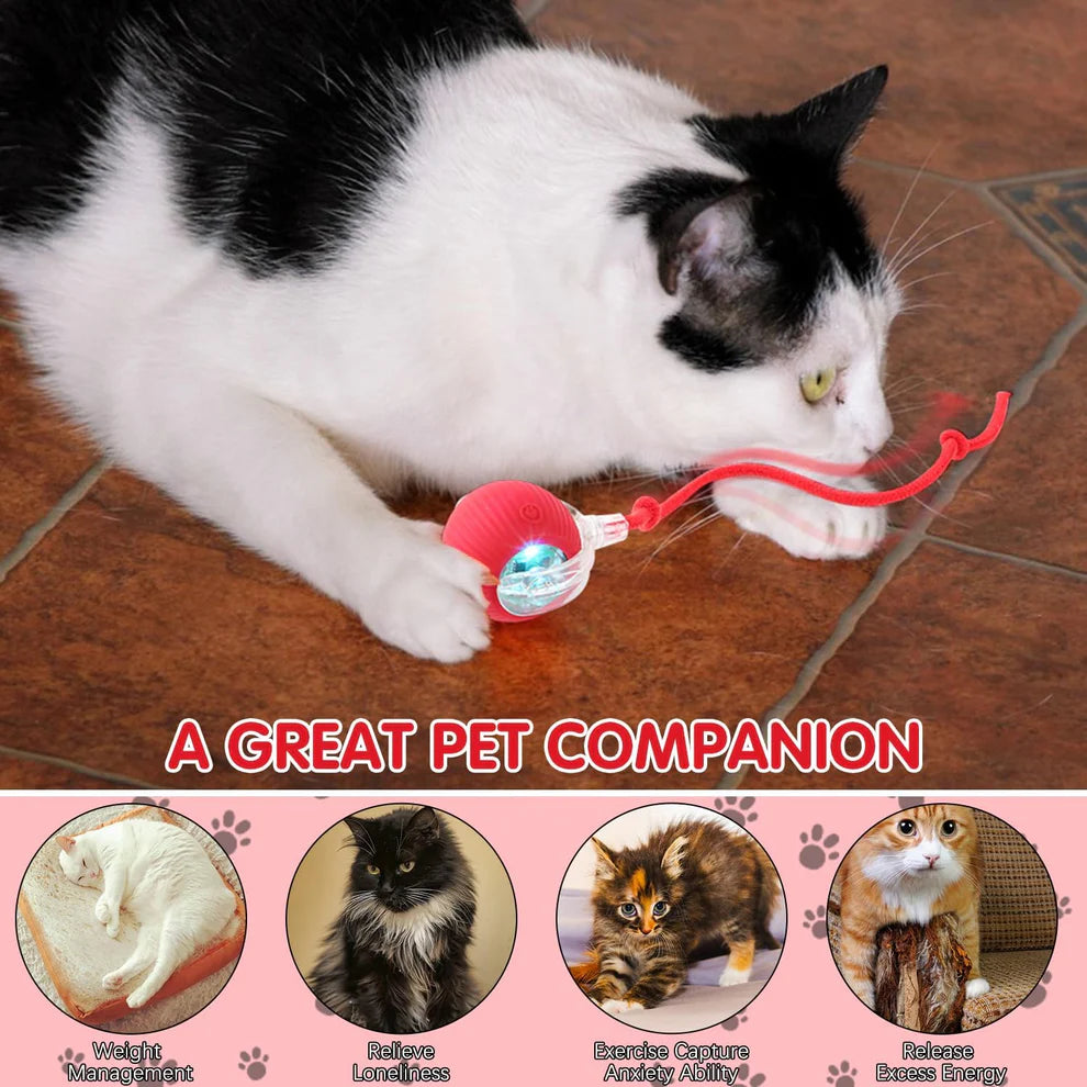 Smart Rolling Pet Ball