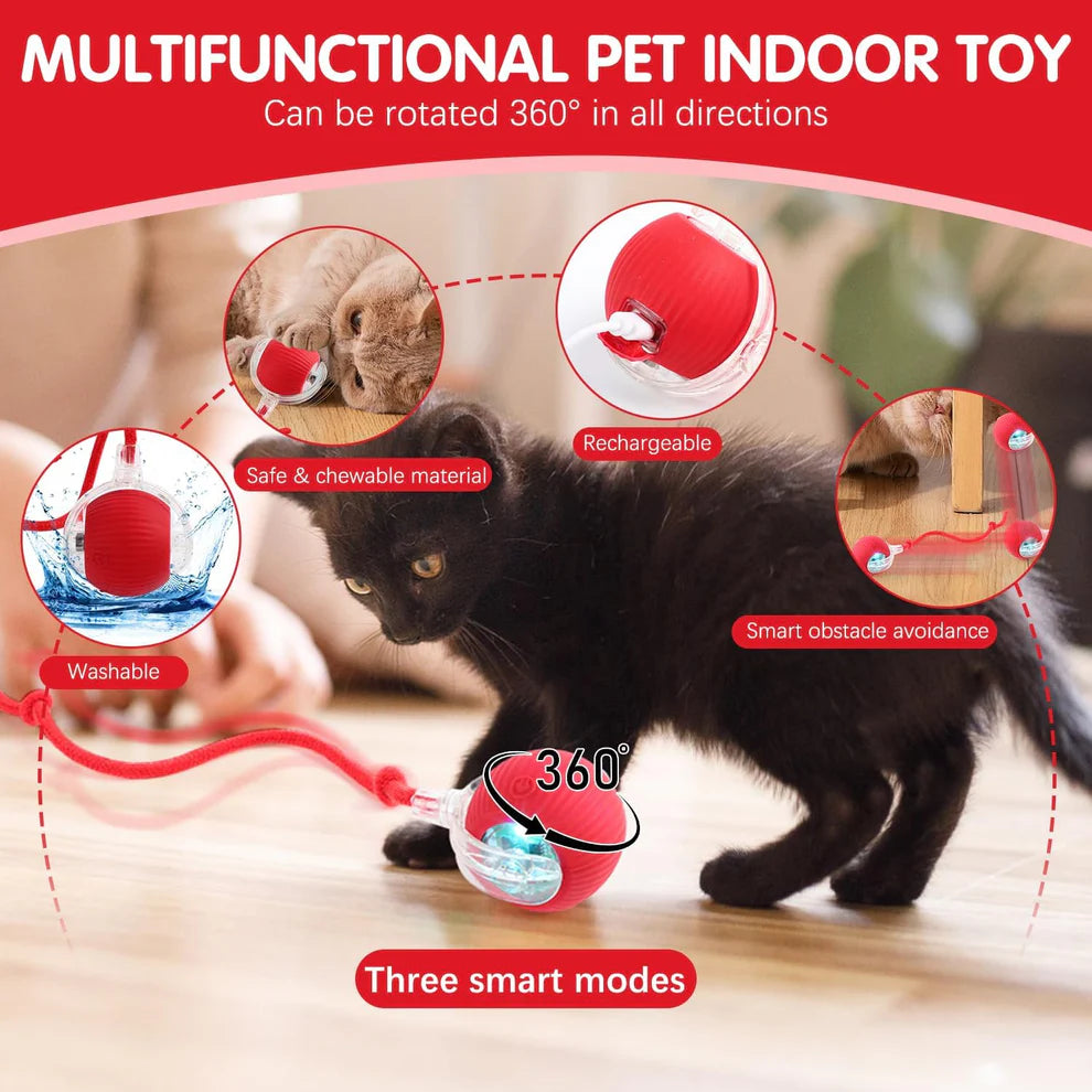 Smart Rolling Pet Ball