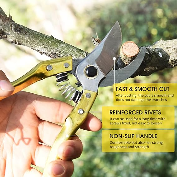 Garden Shears