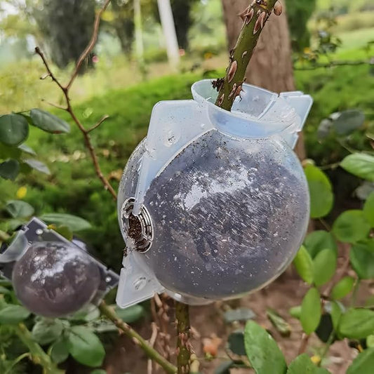 Reusable Plant Propagation Balls (Pack of 5)