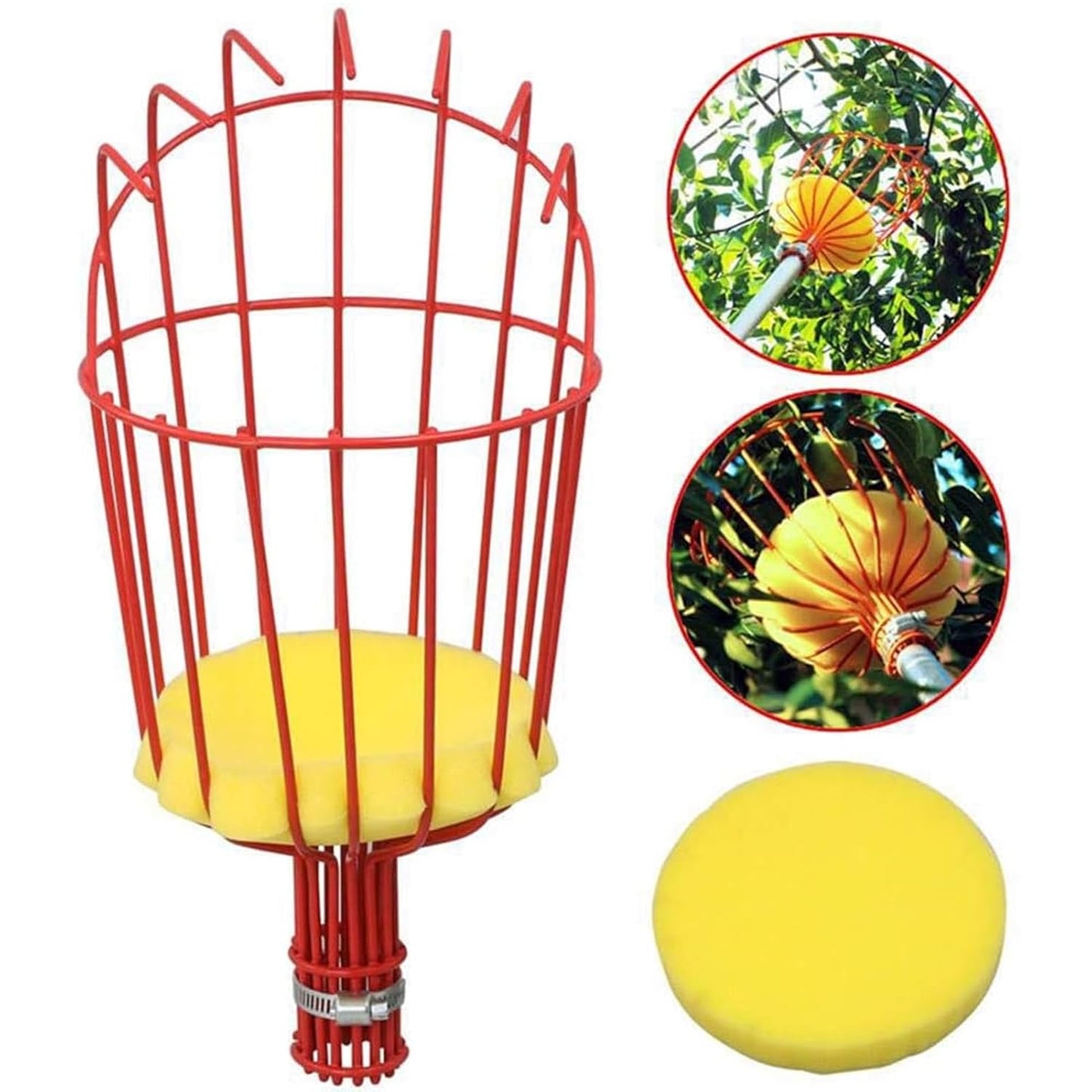 Fruit Catcher Basket