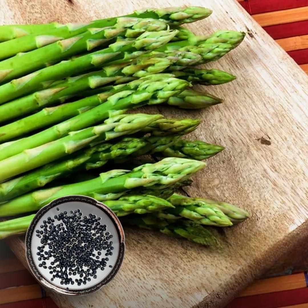 🌿King of Vegetables - Asparagus Mary Washington Seeds