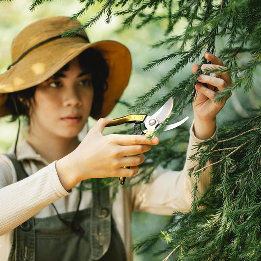 Garden Shears
