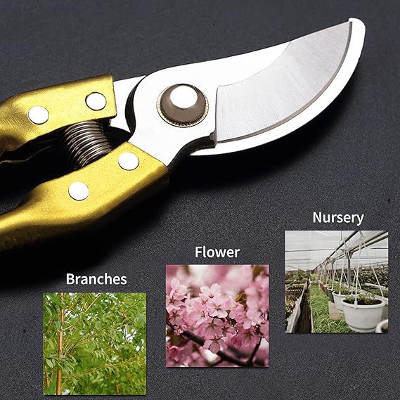 Garden Shears