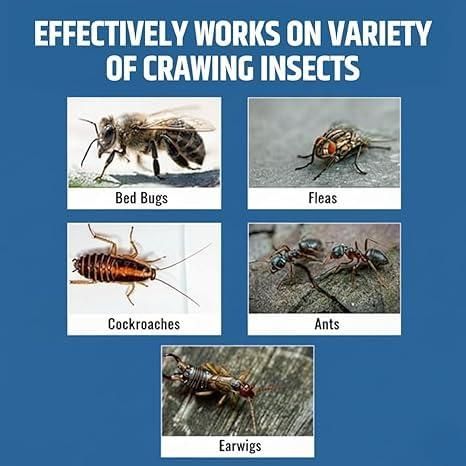 WinterPro Pest Kit (Buy 1 Get 1 Free)