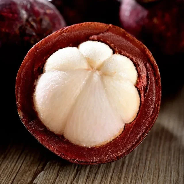 Mangosteen Seeds