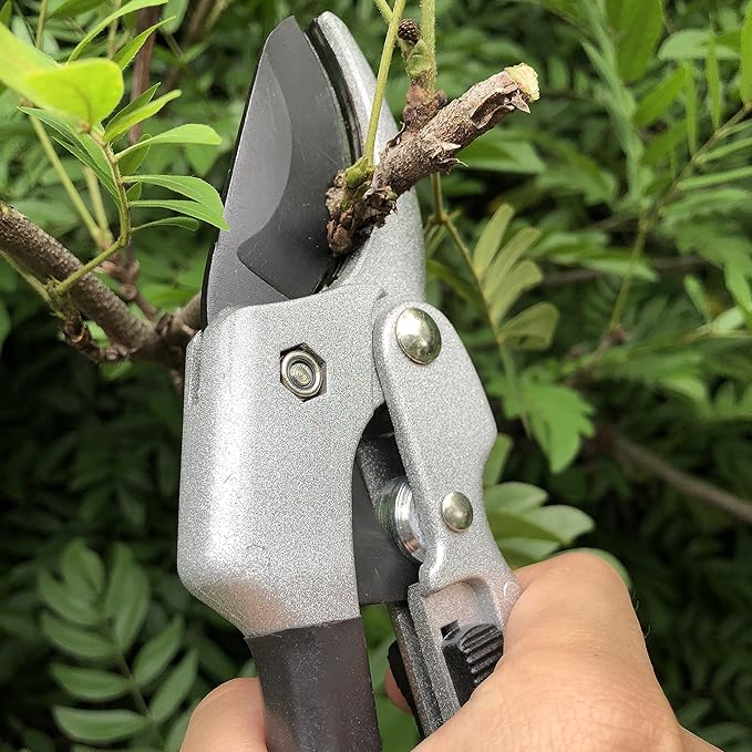 Heavy-Duty Pruning Shears